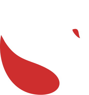 Logo de Suantechs